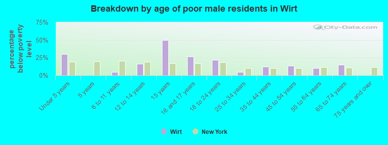 Breakdown by age of poor male residents in Wirt