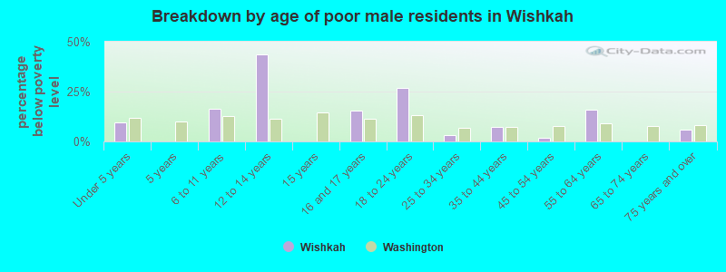 Breakdown by age of poor male residents in Wishkah