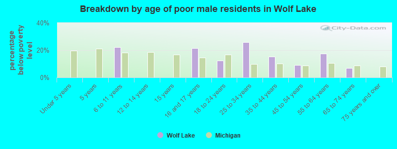 Breakdown by age of poor male residents in Wolf Lake