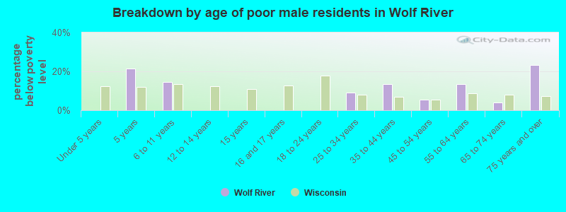 Breakdown by age of poor male residents in Wolf River