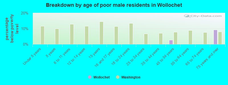 Breakdown by age of poor male residents in Wollochet