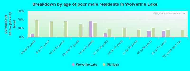 Breakdown by age of poor male residents in Wolverine Lake