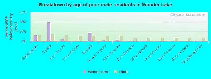 Breakdown by age of poor male residents in Wonder Lake