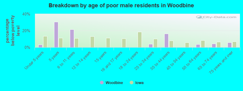 Breakdown by age of poor male residents in Woodbine