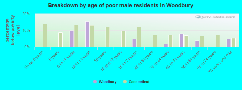 Breakdown by age of poor male residents in Woodbury