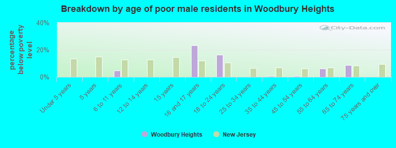Breakdown by age of poor male residents in Woodbury Heights