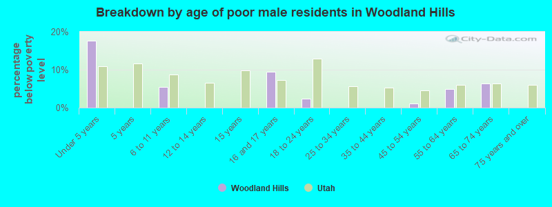Breakdown by age of poor male residents in Woodland Hills