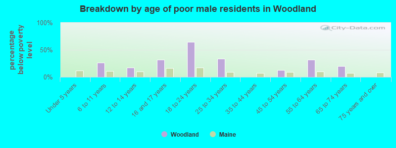 Breakdown by age of poor male residents in Woodland