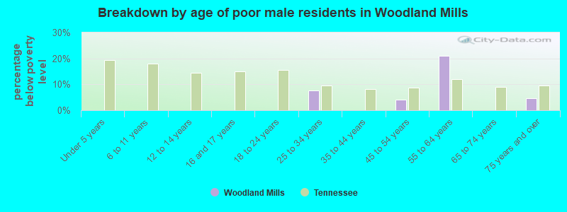 Breakdown by age of poor male residents in Woodland Mills