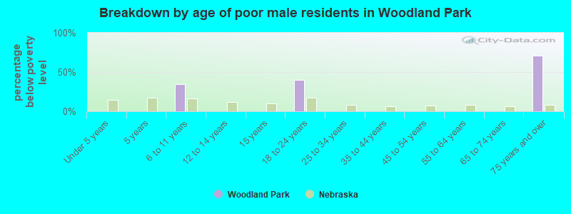 Breakdown by age of poor male residents in Woodland Park
