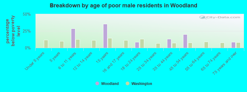 Breakdown by age of poor male residents in Woodland