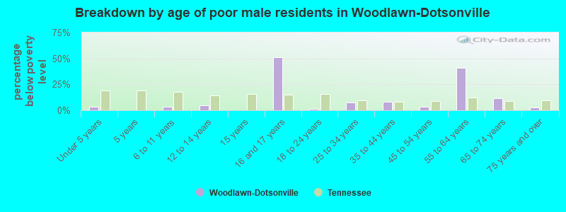 Breakdown by age of poor male residents in Woodlawn-Dotsonville