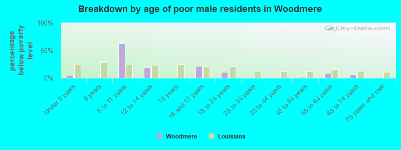 Breakdown by age of poor male residents in Woodmere
