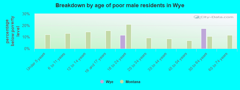 Breakdown by age of poor male residents in Wye