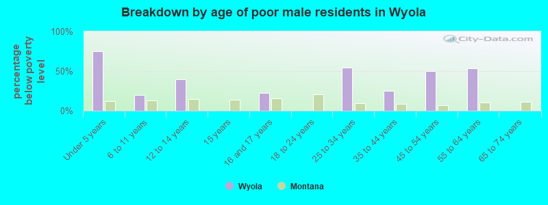 Breakdown by age of poor male residents in Wyola