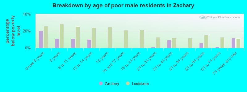 Breakdown by age of poor male residents in Zachary