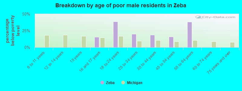 Breakdown by age of poor male residents in Zeba