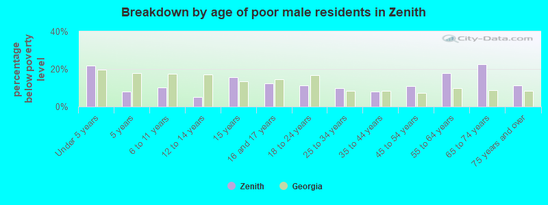 Breakdown by age of poor male residents in Zenith