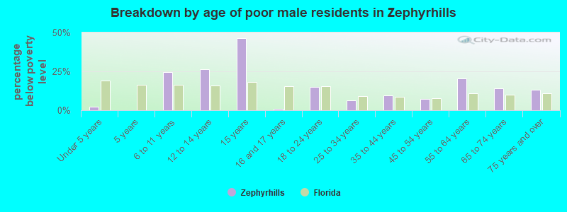 Breakdown by age of poor male residents in Zephyrhills