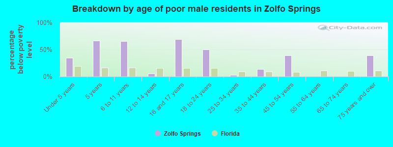 Breakdown by age of poor male residents in Zolfo Springs