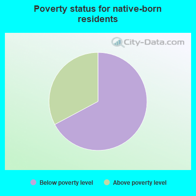 Poverty status for native-born residents