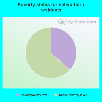 Poverty status for native-born residents