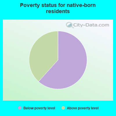 Poverty status for native-born residents