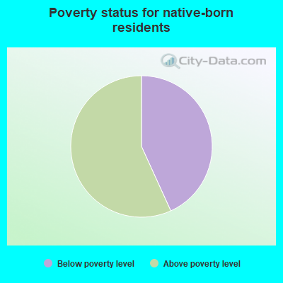 Poverty status for native-born residents