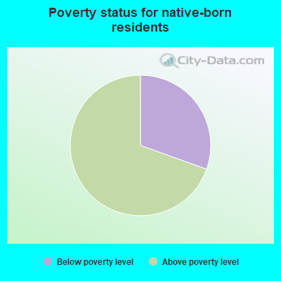 Poverty status for native-born residents