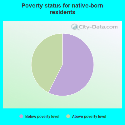 Poverty status for native-born residents