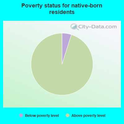 Poverty status for native-born residents