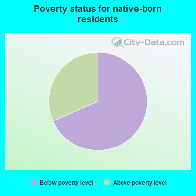 Poverty status for native-born residents