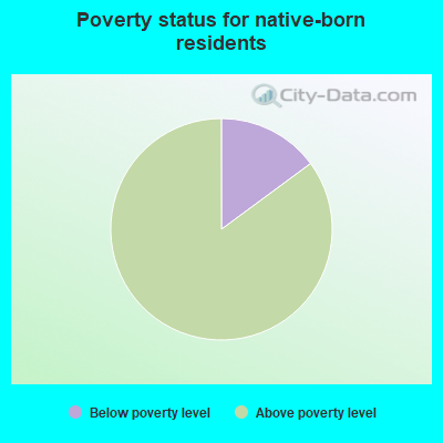 Poverty status for native-born residents