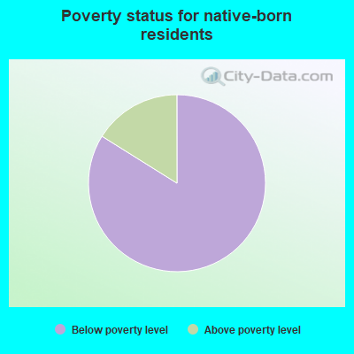 Poverty status for native-born residents