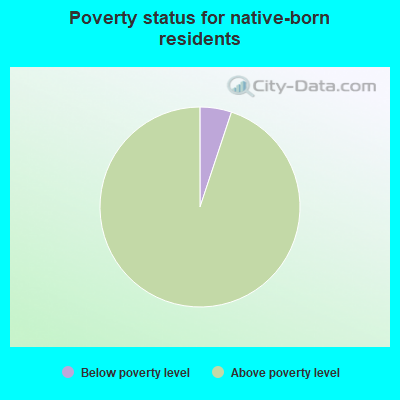 Poverty status for native-born residents