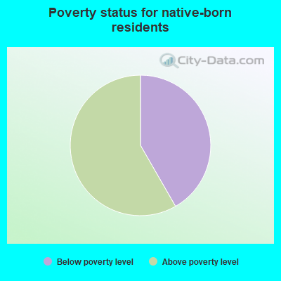 Poverty status for native-born residents