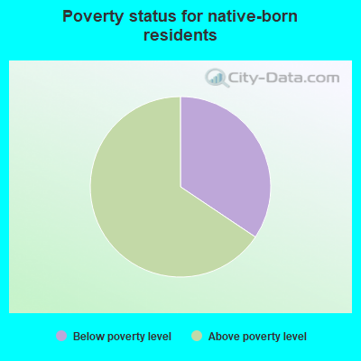 Poverty status for native-born residents