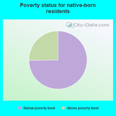 Poverty status for native-born residents