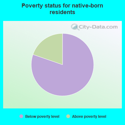 Poverty status for native-born residents