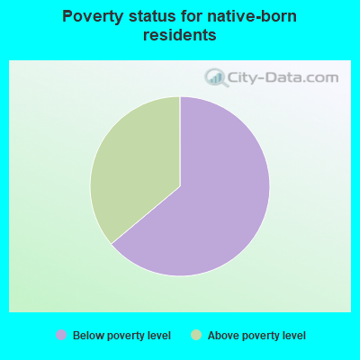 Poverty status for native-born residents