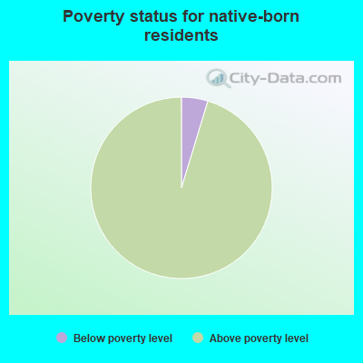 Poverty status for native-born residents