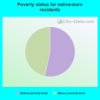 Poverty status for native-born residents