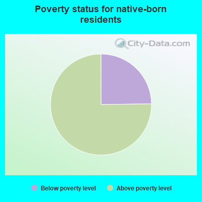 Poverty status for native-born residents