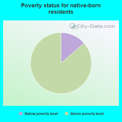 Poverty status for native-born residents