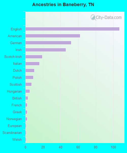 Ancestries in Baneberry, TN
