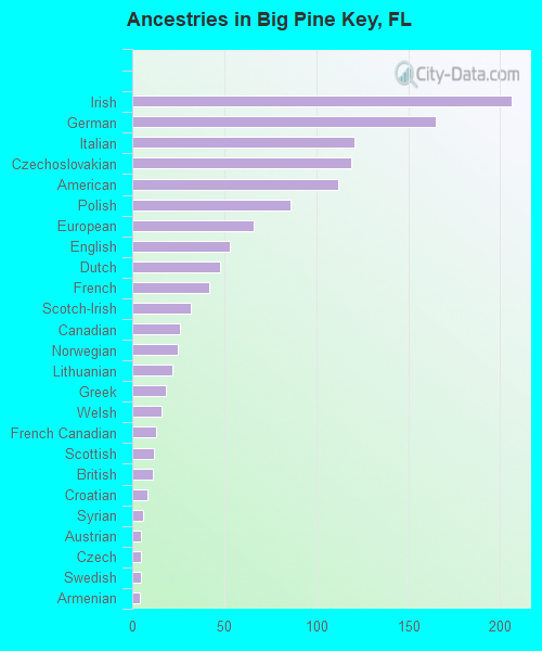 Ancestries in Big Pine Key, FL