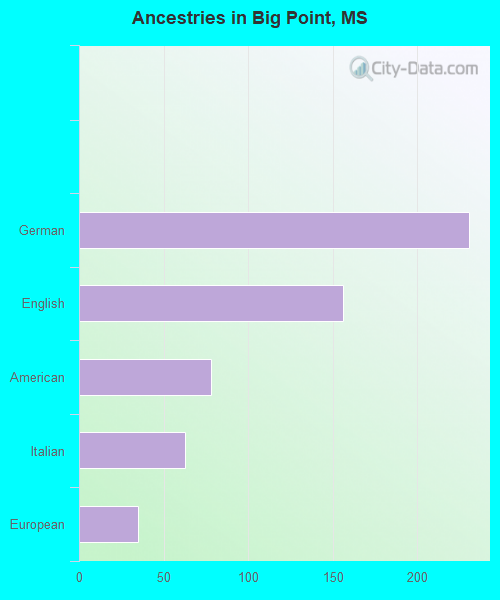 Ancestries in Big Point, MS