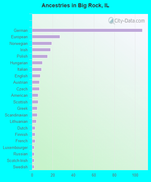 Ancestries in Big Rock, IL