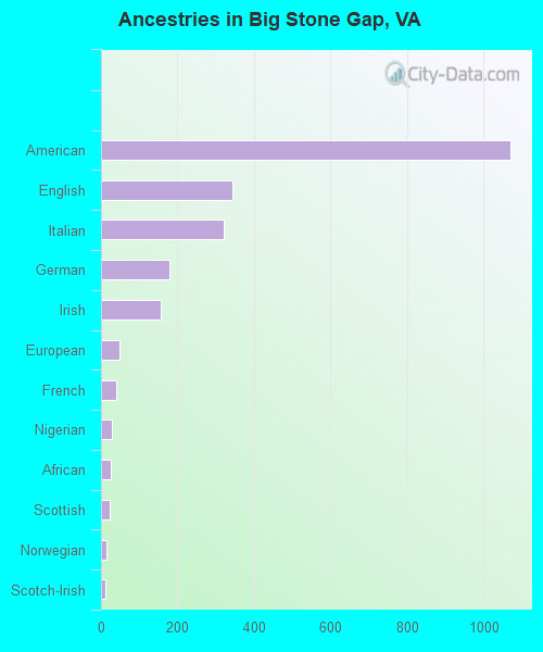 Ancestries in Big Stone Gap, VA