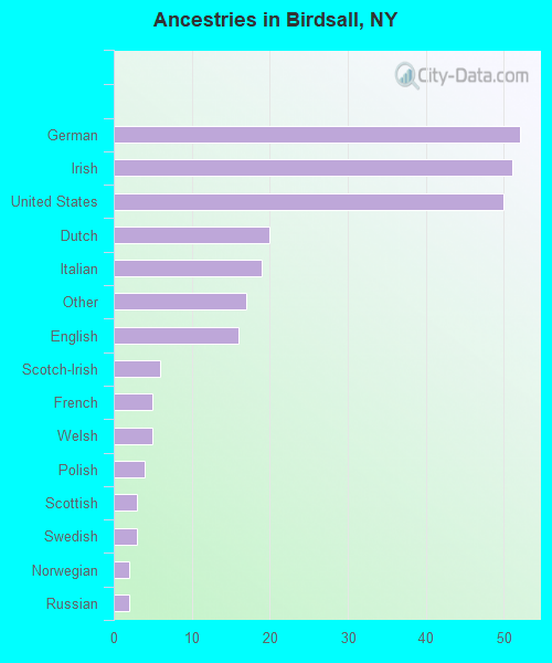 Ancestries in Birdsall, NY